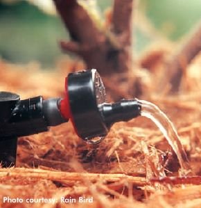 Micro irrigation et le goutte à goutte